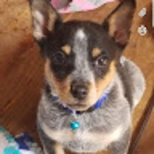 Meet your Posher, Ciara